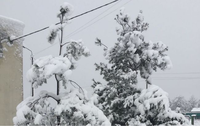 Западную Украину засыпало снегом: дети лепят снеговиков