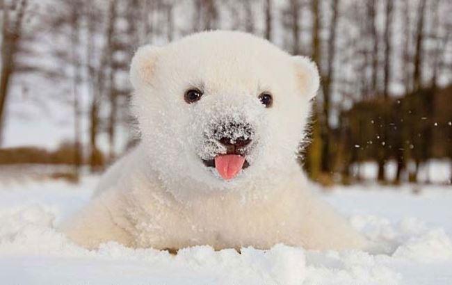 Синоптик рассказала, что ожидает украинцев в Новогоднюю ночь