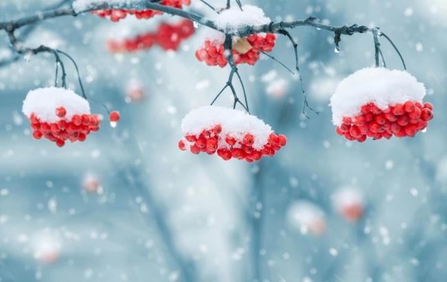 Погода на сьогодні: в Україні сніг з дощем, температура до +5