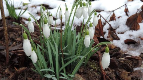 Синоптик предупредила о резком изменении погоды
