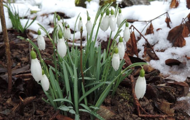 Синоптик попередила про різку зміну погоди