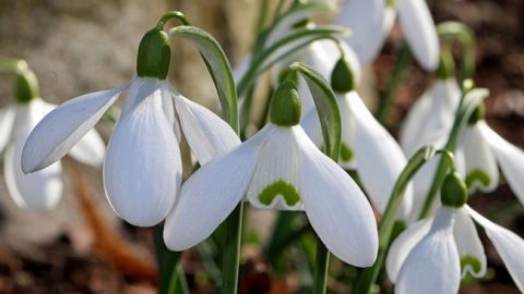 Синоптик порадовала прогнозом на день весеннего равноденствия