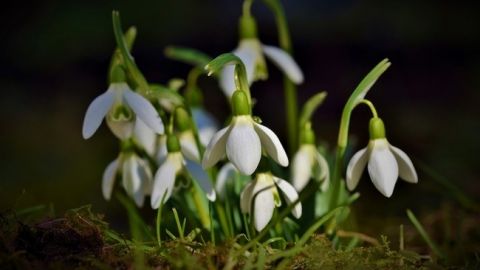 Антициклон наступает: погода в Украине снова изменится на выходных