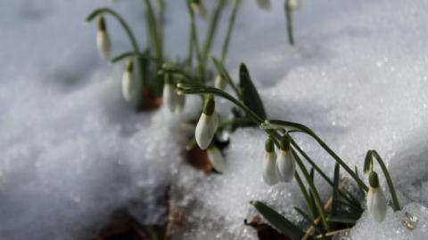 Синоптик розповіла, коли українцям чекати значного потепління
