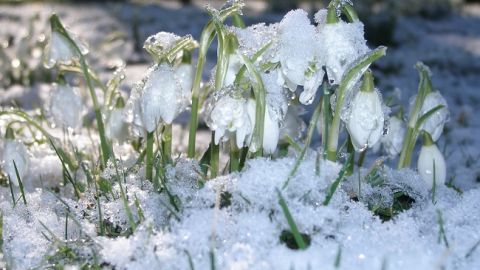 Хмарно, тепло і волого: в Україні розпочнеться рекордне потепління