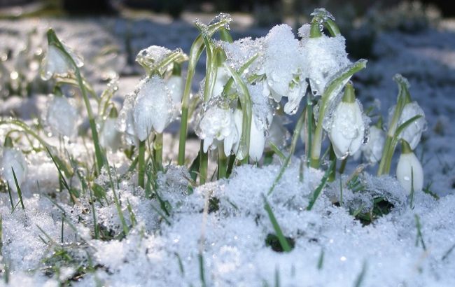 Пасмурно, тепло и влажно: в Украине начнется рекордное потепление