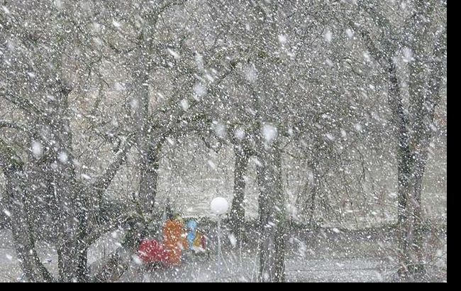 В Польше за сутки от переохлаждения погибли пять человек