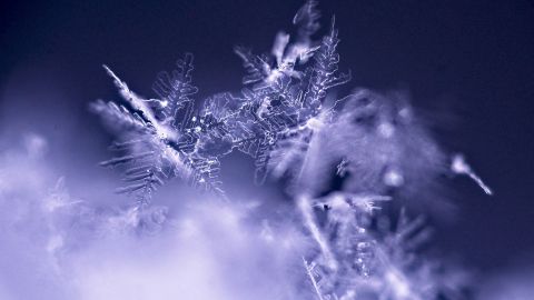 7 неймовірних фактів про сніг і лід, які вас щиро здивують