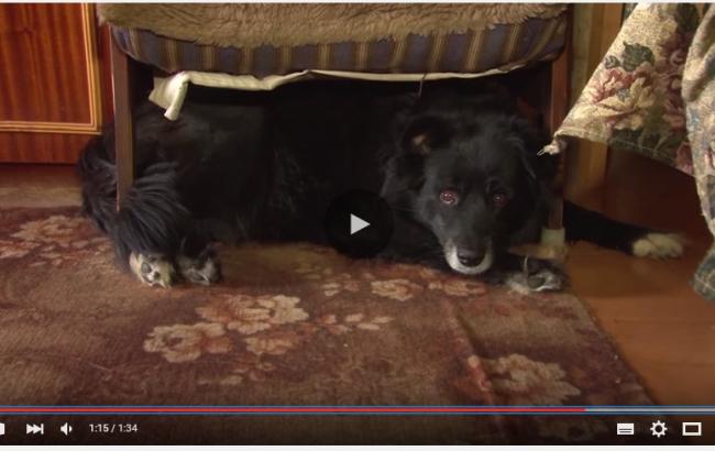 Компенсацию ЖКХ пенсионеры называют жалкой подачкой Путина