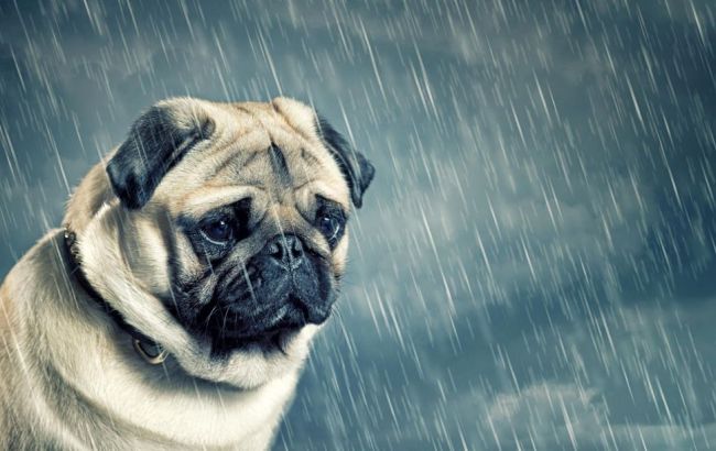 Погода на сьогодні: в Україні місцями дощі, температура до +10