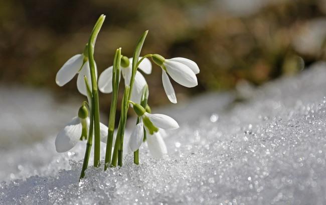 Негода в Україні: синоптик розповіла, коли потепліє
