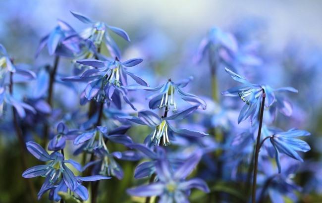 "Починаємо нагріватися": синоптик дала прогноз на 4 липня