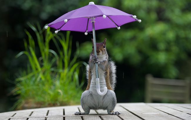 Погода на сьогодні: в Україні очікуються дощі з грозами, температура до +22