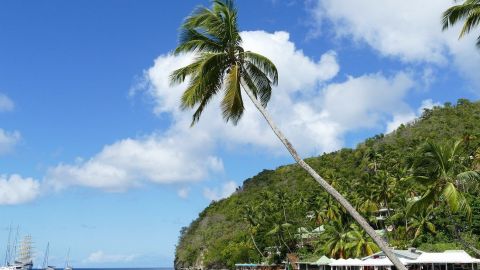 Круизный лайнер не пустили в порты Карибского моря: известна причина