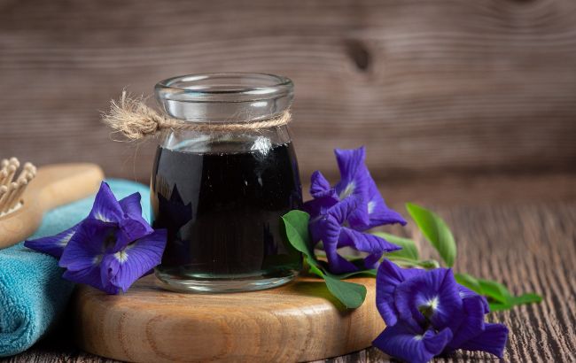 Цикорий вместо кофе: действительно ли этот популярный напиток полезнее?