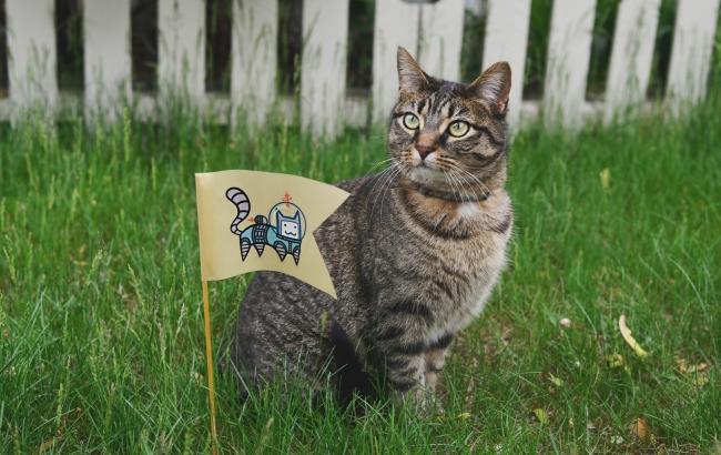 Синоптик призывает выходить на улицу, потому что будет солнечно