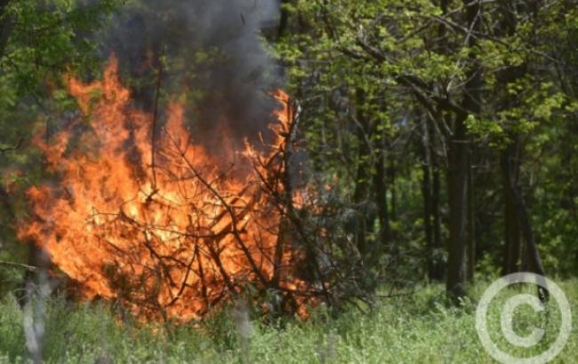 ГСЧС предупреждает о пожарной опасности в некоторых областях Украины 14-15 июня