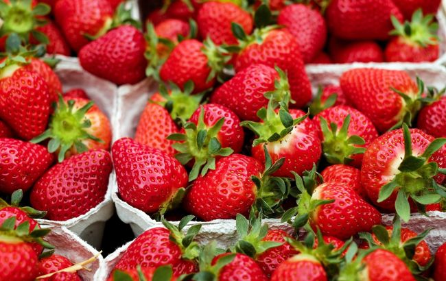 Цена клубники бьет рекорды: сколько стоит ягода