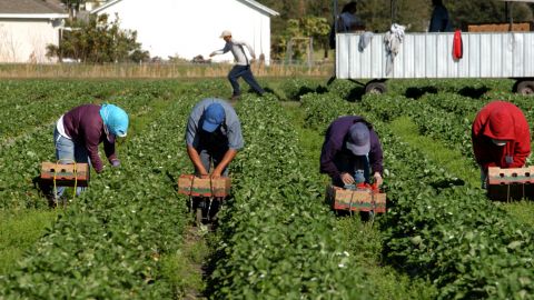 Заработки на карантине: как изменилась трудовая миграция во время эпидемии