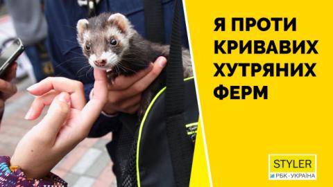 "Серце мають всі тварини, зупиніть здирання шкіри": чому українці проти хутряного виробництва в Україні