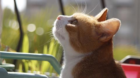 Синоптик розповіла, коли в Україні похолодає