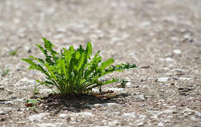 Синоптики оголосили про небезпеку через антициклон Burkhart: що буде з погодою