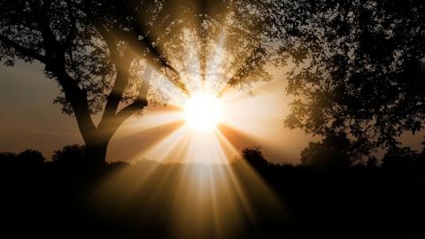 Легкие вещи достали рано: синоптик огорчила украинцев