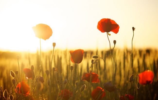 Прогноз погоди на 31 серпня: яким буде кінець літа в Україні