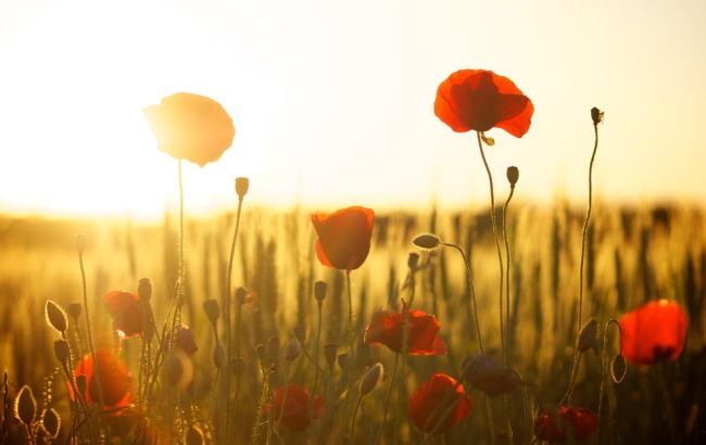 Атмосферный фронт: синоптик предупредила о сложной погоде