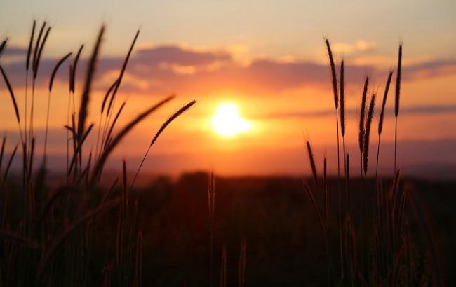 "Зниження нічної температури": синоптики розповіли, якою буде погода 7 червня