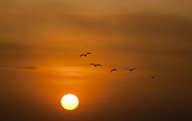 27 миллионов километров: NASA опубликовало потрясающий снимок Солнца