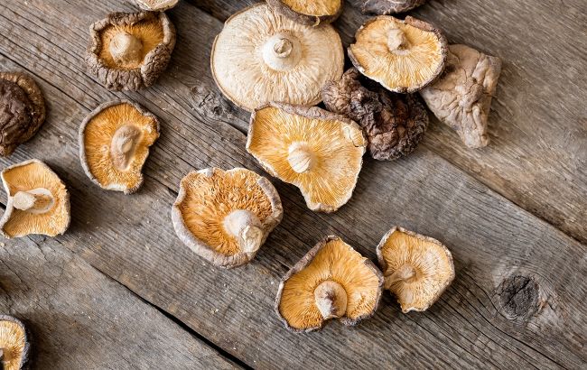 Головна помилка при сушінні грибів, яка утворює плісняву