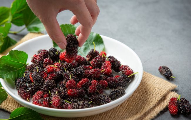 Нужно ли мыть шелковицу перед употреблением? Вы этого точно не знали