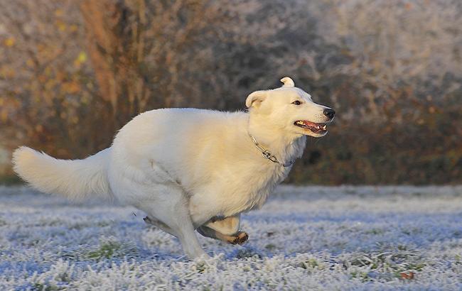 Погода на сегодня: в Украине без осадков, температура до +10