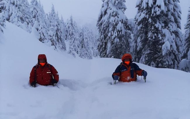 В Карпатах - угроза схода лавин: синоптики предупреждают об опасности 