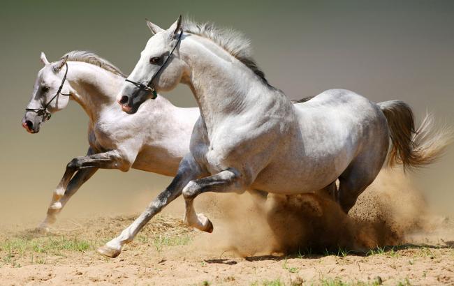 Гороскоп на сегодня, 2 ноября