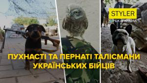 Пушистые любимцы поддерживают украинских бойцов