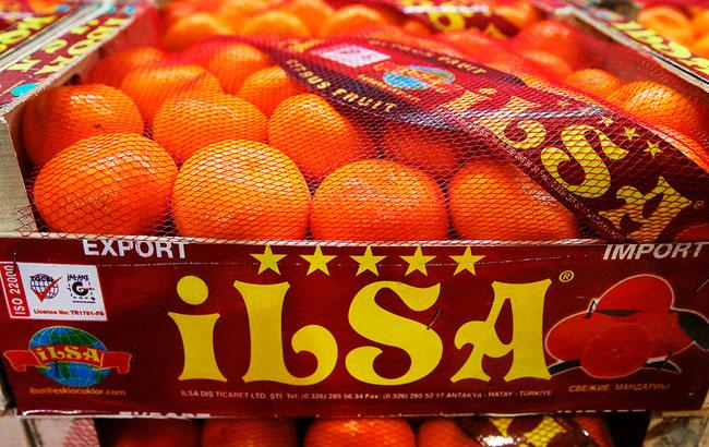 Российское ТВ порадовало зрителей кадрами уничтожения бульдозером турецких мандаринов