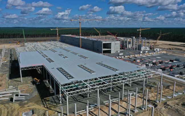 Строительство завода Tesla под Берлином остановили из-за экологов