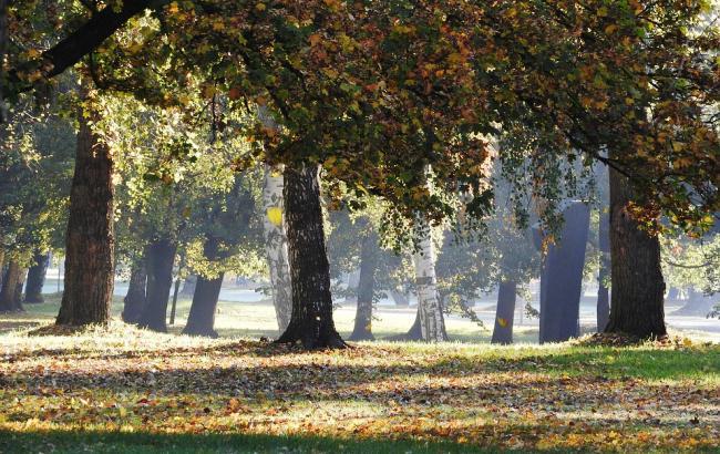 Погода на сегодня: на западе Украины дожди с грозами, температура до +33