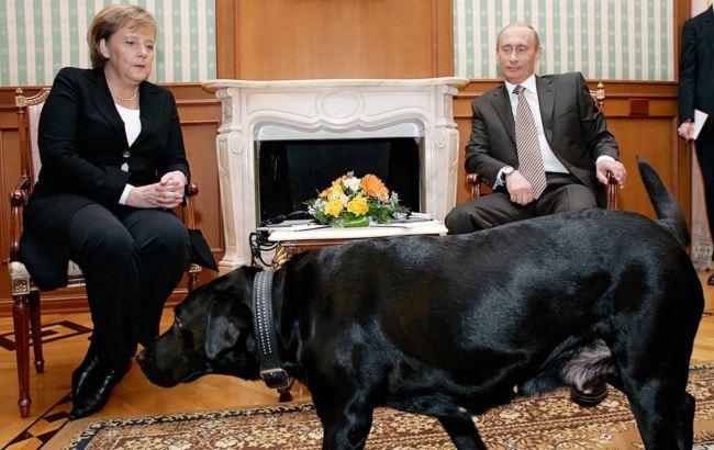 Путін прокоментував випадок з Меркель і лабрадором