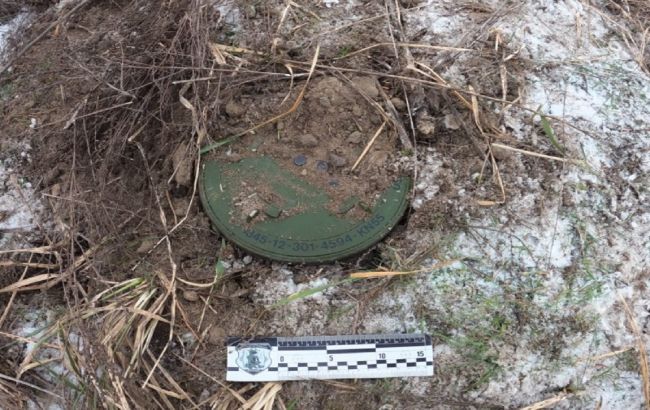 На деоккупированной территории Луганской области обнаружили гранатометы и мины (фото)