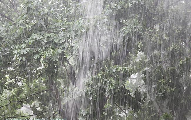 В Харьковской обл. град уничтожил 2 тыс. га посевов, - ГСЧС