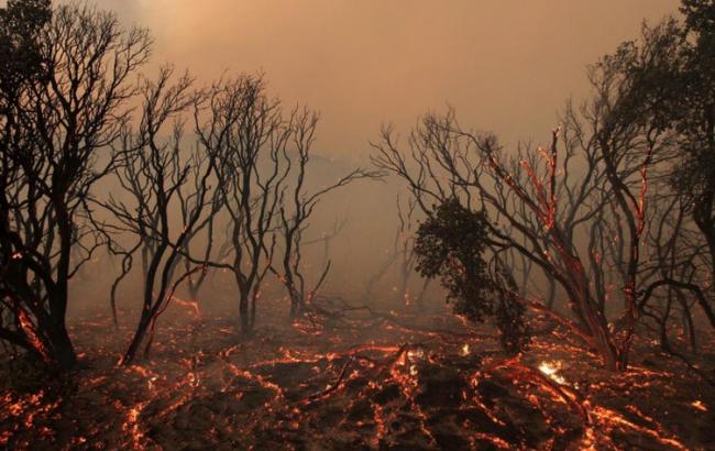 У Бурятії у зв'язку з природними пожежами діє режим НС