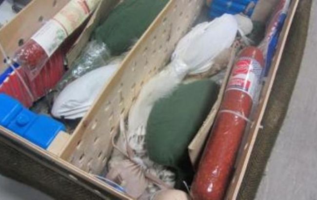 Украинец пытался вывезти в Ливан соколов