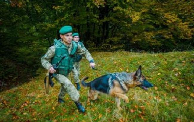 Украинские пограничники в первом полугодии 2017 года задержали более 1 тыс. мигрантов