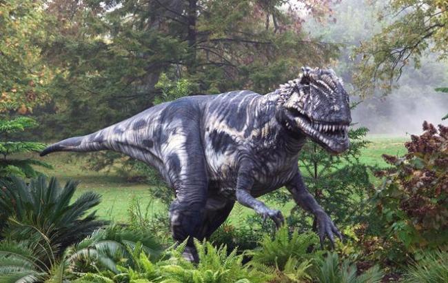 Ученые открыли новый вид тираннозавров