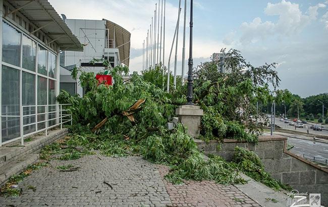 Ураган в Харькове: фото, видео