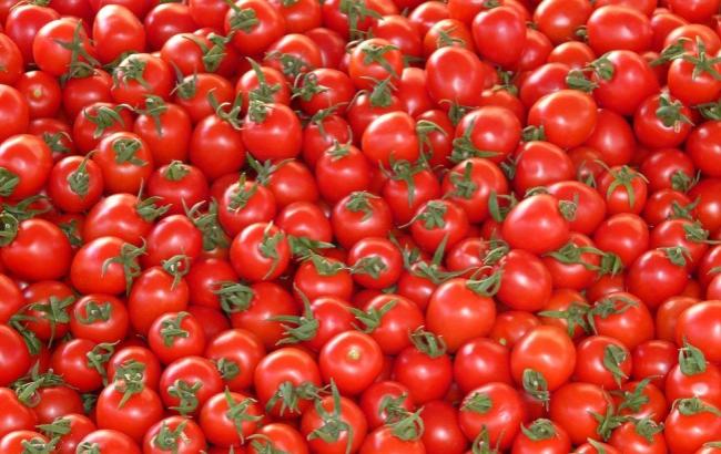 Журналист рассказал, как в России "страстно расправлялись" с украинскими томатами