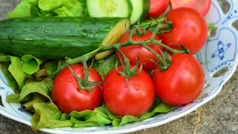 Посівний календар на червень 2020: коли можна і не можна працювати на городі і в саду